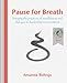 Pause for Breath: Bringing the practices of mindfulness and dialogue to leadership conversations by Amanda Ridings