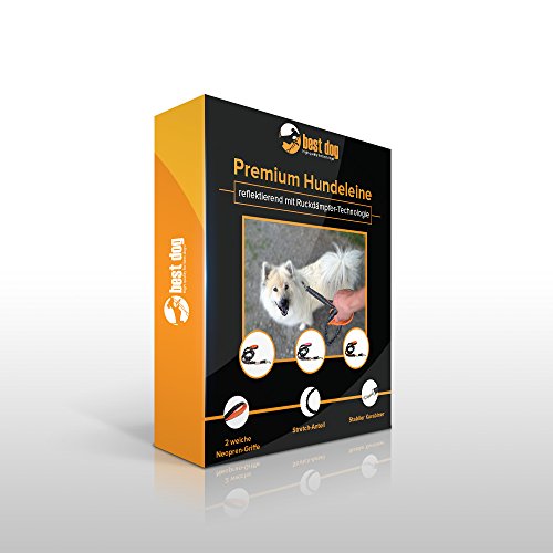 best-dog-Premium-Hundeleine-fr-groe-Hunde-Reflektierend-mit-Ruckdmpfer