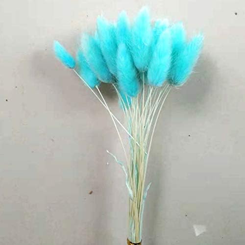 WEISY 30PCS Natural Rabbit Tail Grass Dried Household Flower Decorations Festive Party Supplies
