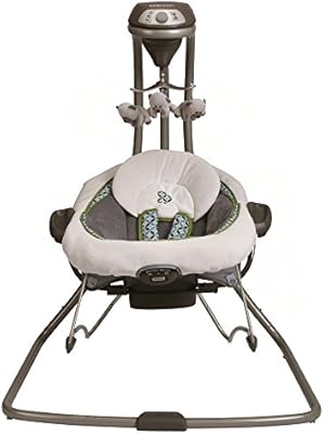 duetconnect swing and bouncer