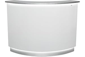 Reception Desk Receptionist Area Counter with LED Lights Janus