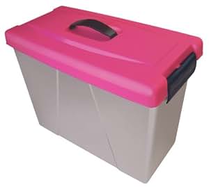 Cathedral - Caja con asa para archivadores (plástico), color rosa