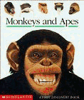 Monkeys and Apes (First Discovery Book)