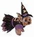 Forum Novelties Witch Pet (Promo) Costume, Small