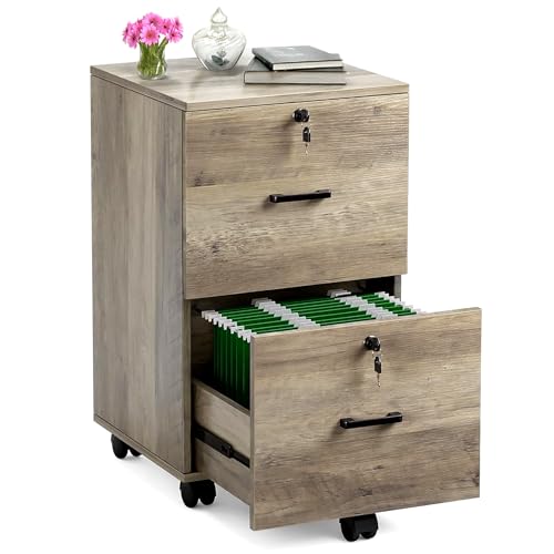 Archivador con 2 Cajones, Archivero con 5 Ruedas para Archivos A4 Tamaño Carta, Archivero Organizador Debajo del Escritorio para Oficina en Casa, Archiveros con Cerradura con Soporte para Impresora
