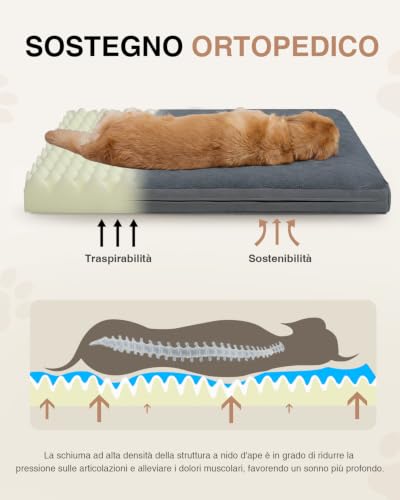 Favodormir Indoor Dog Bed Large Size Removable and Washable, Orthopaedic Bed Cushion for Dogs, Non-Slip Base Dog Mat, Outdoor, Grey, 104 x 68 x 8 cm