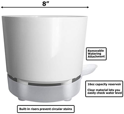 8" Self-Watering + Aerating + High Drain Indoor & Outdoor UV Resistant Round Planter Pot Prevent Mold, Root Rot, Soil Fungus in House Plants (8 Inch / 1 Gallon, White w/Clear Saucer)