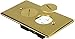 Orbit Industries FLB-R1G-C-BR Round Plug Type Floor Box Cover Only with Duplex Receptacle, Tamper Resistant, Brass