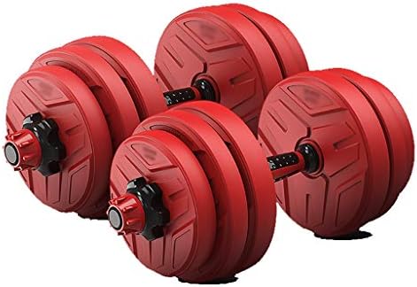 WSC Dumbbells, Men's Fitness Equipment for Home, A Pair of Detachable Barbell Set 10KG, 15KG, 20KG (Size : 20KG)