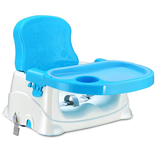 Best fisher price booster seat dining