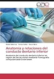Image de Anatomía y relaciones del conducto dentario inferior: Anatomía del conducto dentario inferior en región del tercer molar mediante Tomografía compu