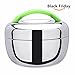Stainless Steel Double Layer Bento Box, Food Container, Lunch Box with Green Handle