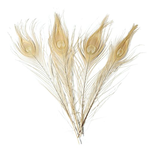 Hgshow 20 Pcs Bleached & Dyeing peacock feathers 10-12 inches Cream-coloured