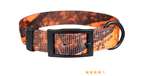 orange collar