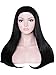 OneDor Mix Long 3/4 Women's Wigs Hairpiece Straight Hair Piece with Headband (1#-Black)