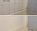 RMR-86 Instant Mold Stain & Mildew Stain Remover (32 oz)