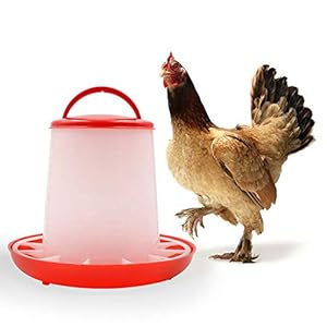 M.Z.A - Alimentatori automatici per pollo, 1,5 kg, in plastica per acqua e bevande, 1,5 kg