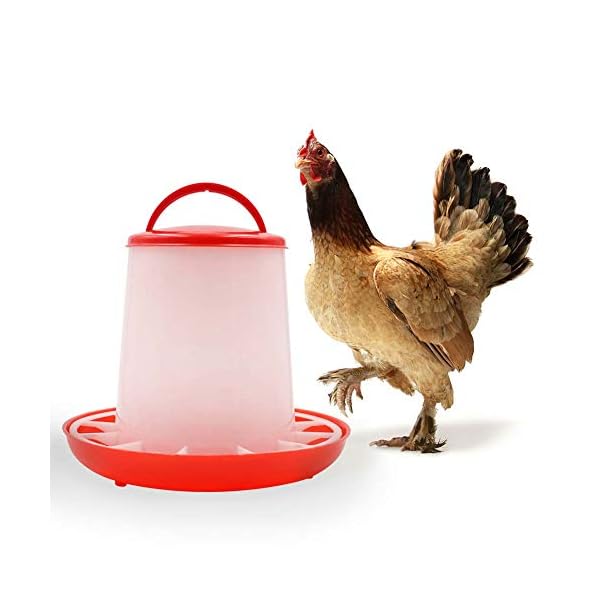 M.Z.A - Alimentatori automatici per pollo, 1,5 kg, in plastica per acqua e bevande, 1,5 kg