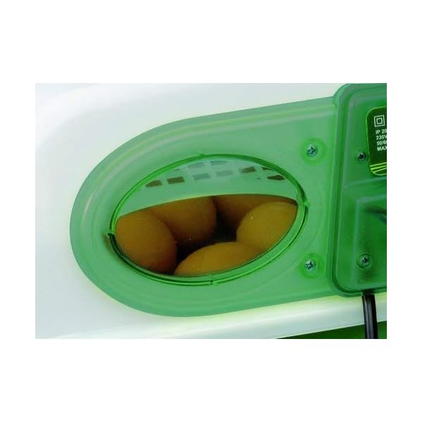 Incubatrice Per Uova Automatica Digitale Con Girauova, Capacità 49 Uova Di Gallina, Anatra, Oca, Tacchino, 196 Uova Di…