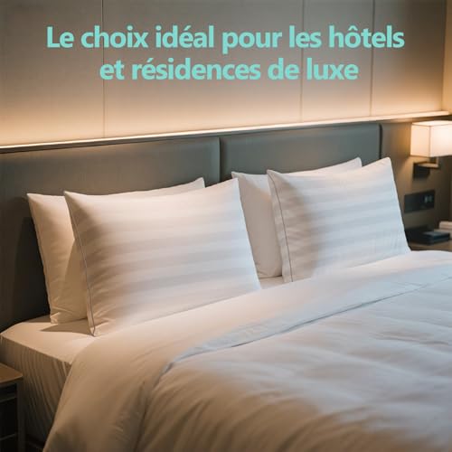 Lullabeau Pillow 40 x 70 cm Set of 2, Soft Pillows, Luxury Hotel Quality, Classic Pillows, Breathable and Soft, Washable, Ideal for Side Sleepers, Back and Belly Sleepers