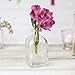 Glassnow C6054-N Roma Glass Bottle, 8.5 oz, Clear, 12 Pieces