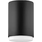 Hinkley Cedric Extra Small Flush Mount, Black