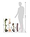 Large Puppy Dog Chew Toys 10 Value Pack , for Medium and Large Dogs - for Aggressive Chewers , 3 Dog Toys Natural Rubber (Dog Frisbee, Dog Toys Bone, Dog Ball) , 6 Dog Toys Rope, Youngever