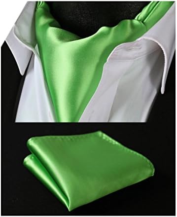 SetSense Men's Solid Jacquard Woven Self Cravat Tie Ascot Set One Size Green