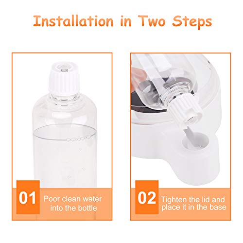 Pets Water and Food Bowl Set for Cat & Dog,Small Double Bowl Feeder with Automatic Water Dispenser,Self Cat Feeder Bowl Glass