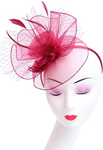 Fascinator Hat Feather Mesh Net Veil Party Hat Flower Derby Hat with Clip and Hairband for Women