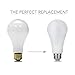 Smart Light Bulb, Smart Wi-Fi LED Bulb Glass Vintage Edison Light, A19, Dimmable, Soft White 2700K, No Hub Required, Compatible with Alexa and Google Assistant, 2 Pack