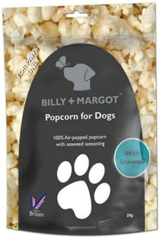 canine health clinic