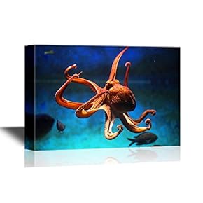 an Octopus Swimming Under The Ocean