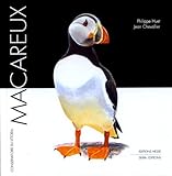 macareux by 