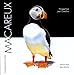 macareux by 