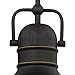 Westinghouse 63082A Boswell Pendant, Mini, Oil Rubbed Bronze w/Highlights