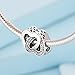 PANDORA Entwined Love Charm 791880CZ