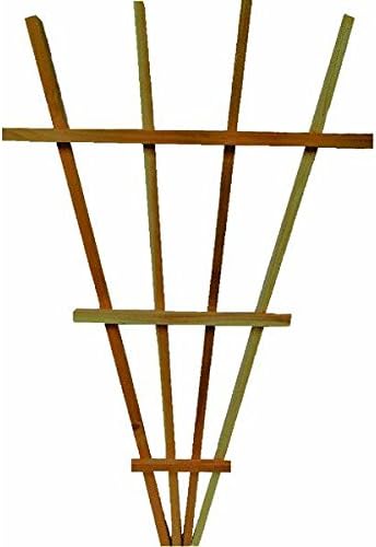 Arboria Arboria Traditional Fan Trellis