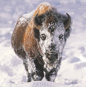 EFF - Bravo The Hits 2016 - Zortam Music