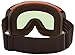 Dragon Alliance NFXS Ski Goggles
