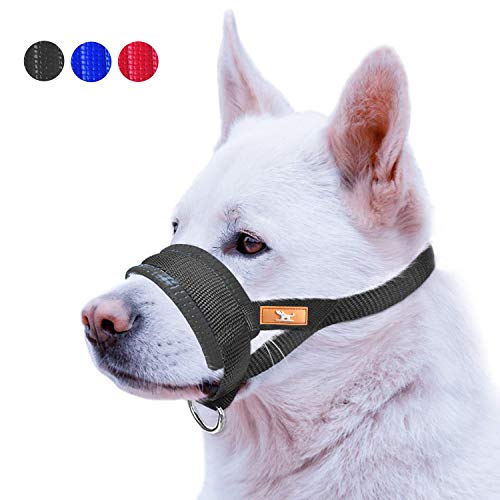 wintchuk Basic Dog Muzzle Prevent from Taking Off by Dogs for Small,Medium and Large Breed,Stop Puppy Biting and Chewing (XL,Black)