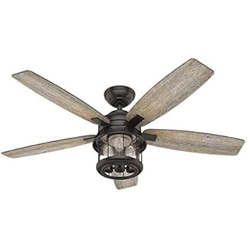 Hunter Indoor Outdoor Ceiling Fan With Light And Remote Control