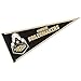 Wincraft NCAA Purdue University WCR63939713 Carded Classic Pennant, 12