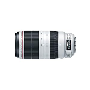 Canon EF 100-400mm f/4.5-5.6L is II USM Lens, Lens Only