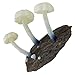 Kitan Club Luminous Mushroom Plastic Toys - Magnetic and Glow-in-the-Dark - Blind Box Includes 1 of 8 Collectable Figurines - Authentic Japanese Design - Made from Durable Plastic