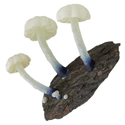 image for Kitan Club Luminous Mushroom Plastic Toys - Magnetic and Glow-in-the-D