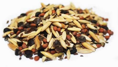 Sustain Seed Winter Blend Cover Crop Seeds, 1 Pound