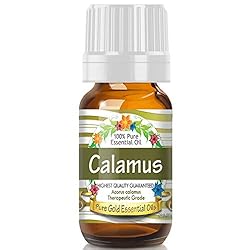 Pure Gold Essential Oils - Calamus Essential Oil