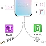 2 in 1 Adapter Compatible with iPhone 7/7 Plus/XS Max/XS/XR/X 10/8/8 Plus