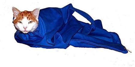 cat in the bag carrier